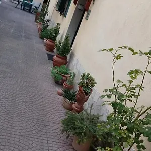 Casa Diana , Roma Italia